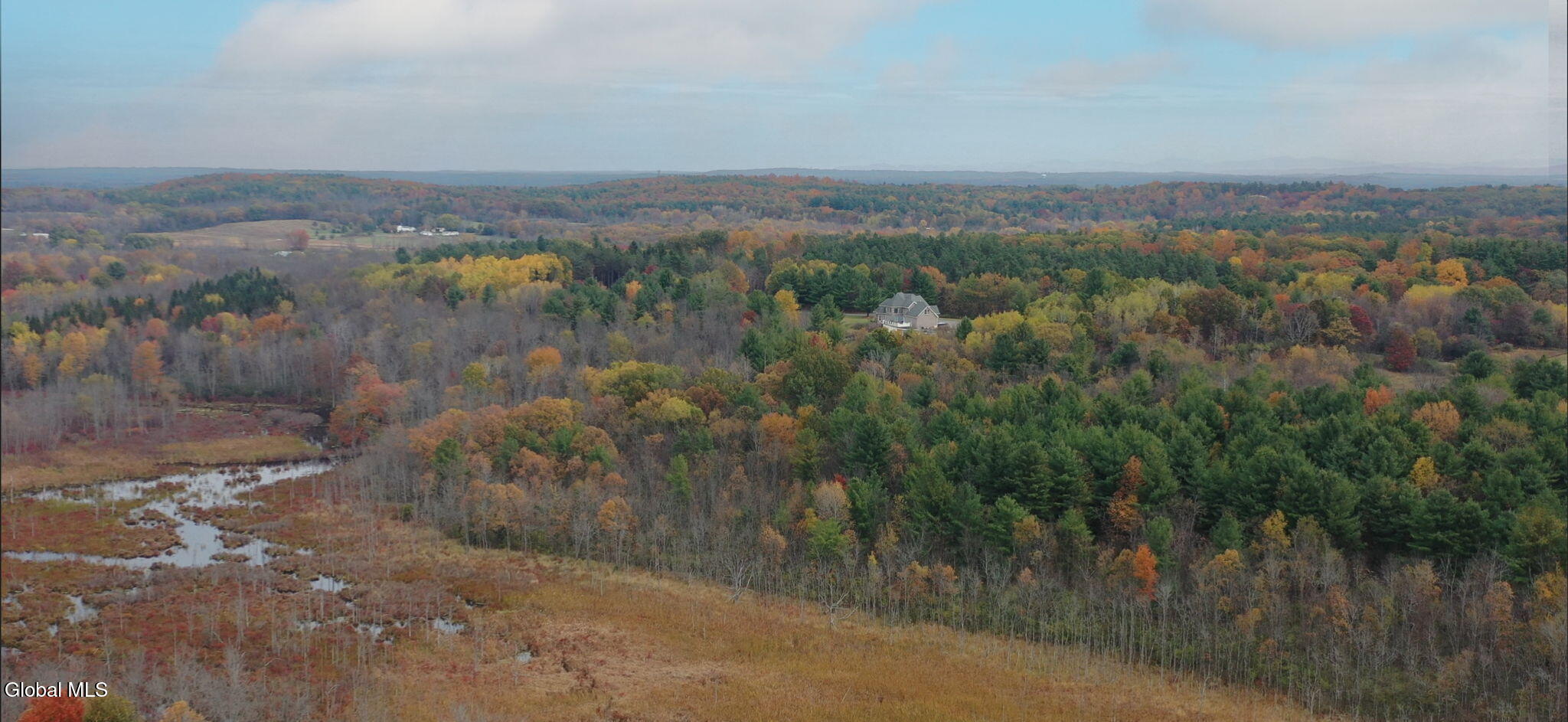 4 Jani Lane Guilderland, NY 12186 - Photo 2 of 8 2-web-or-mls-4-jani-ln