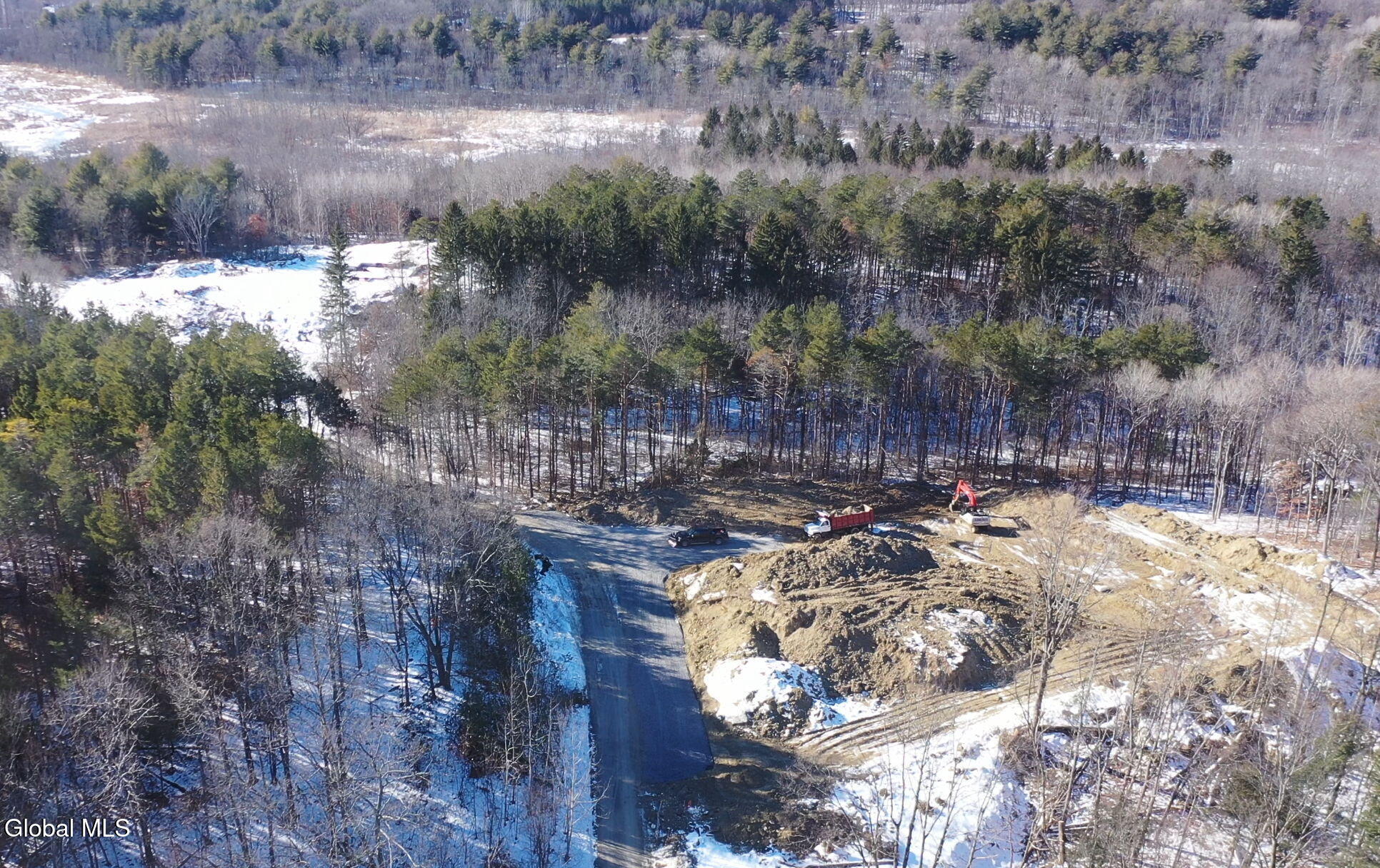 4 Jani Lane Guilderland, NY 12186 - Photo 4 of 8 5-web-or-mls-4-jani-ln