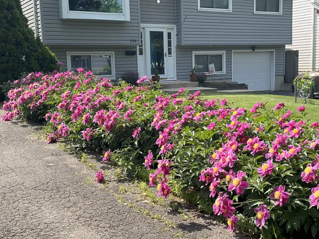 $420,000 | 154 South Ellyn Avenue, Glen Ellyn, IL 60137