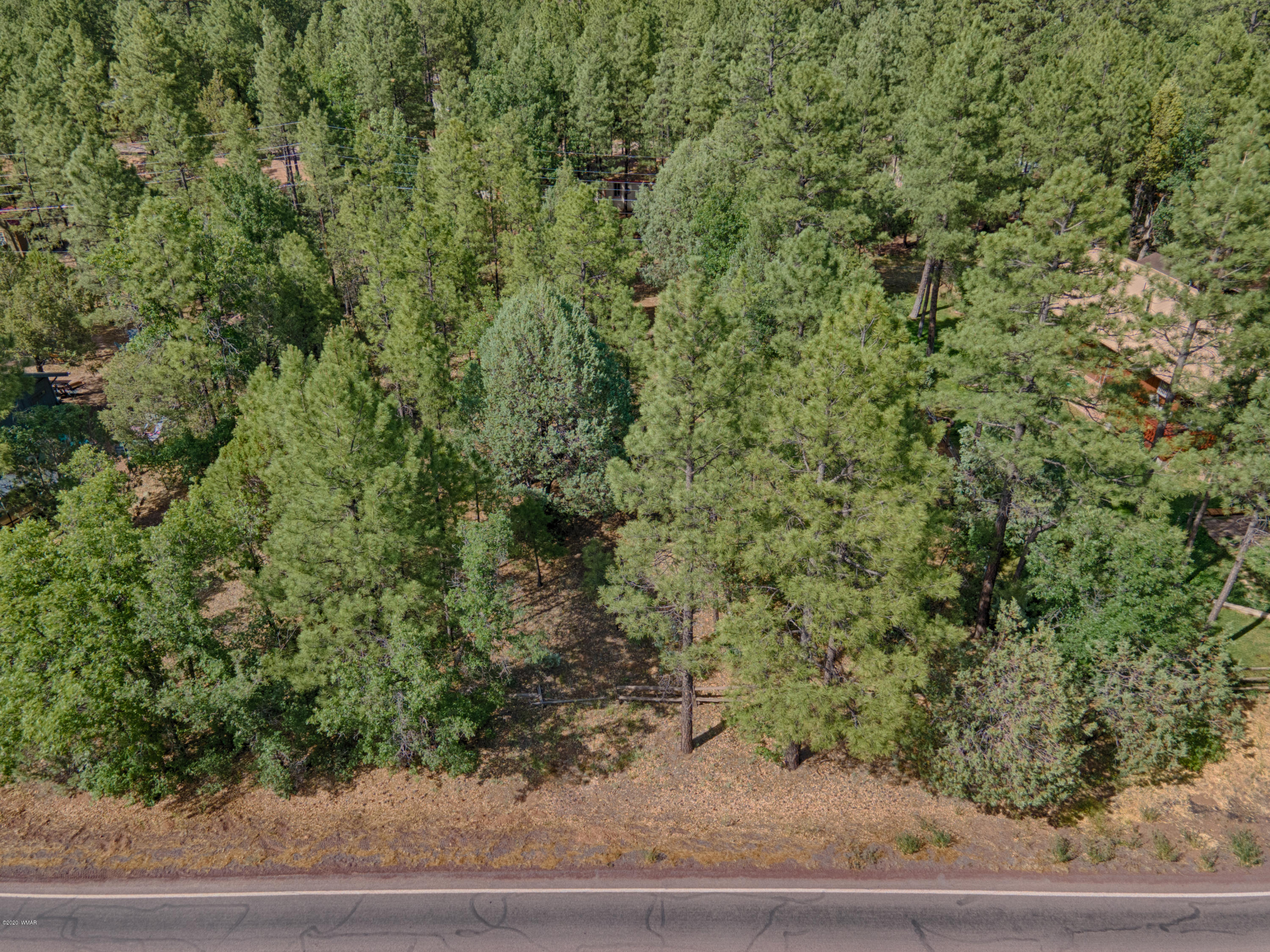 2936 West Rim Road Lakeside, AZ 85929 - Photo 2 of 6