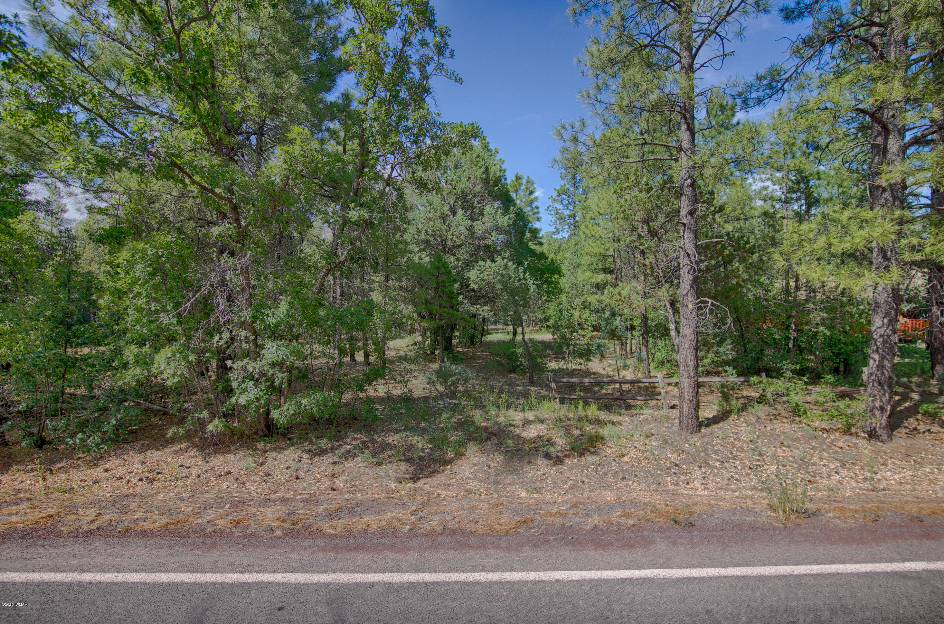 2936 West Rim Road Lakeside, AZ 85929 - Photo 3 of 6