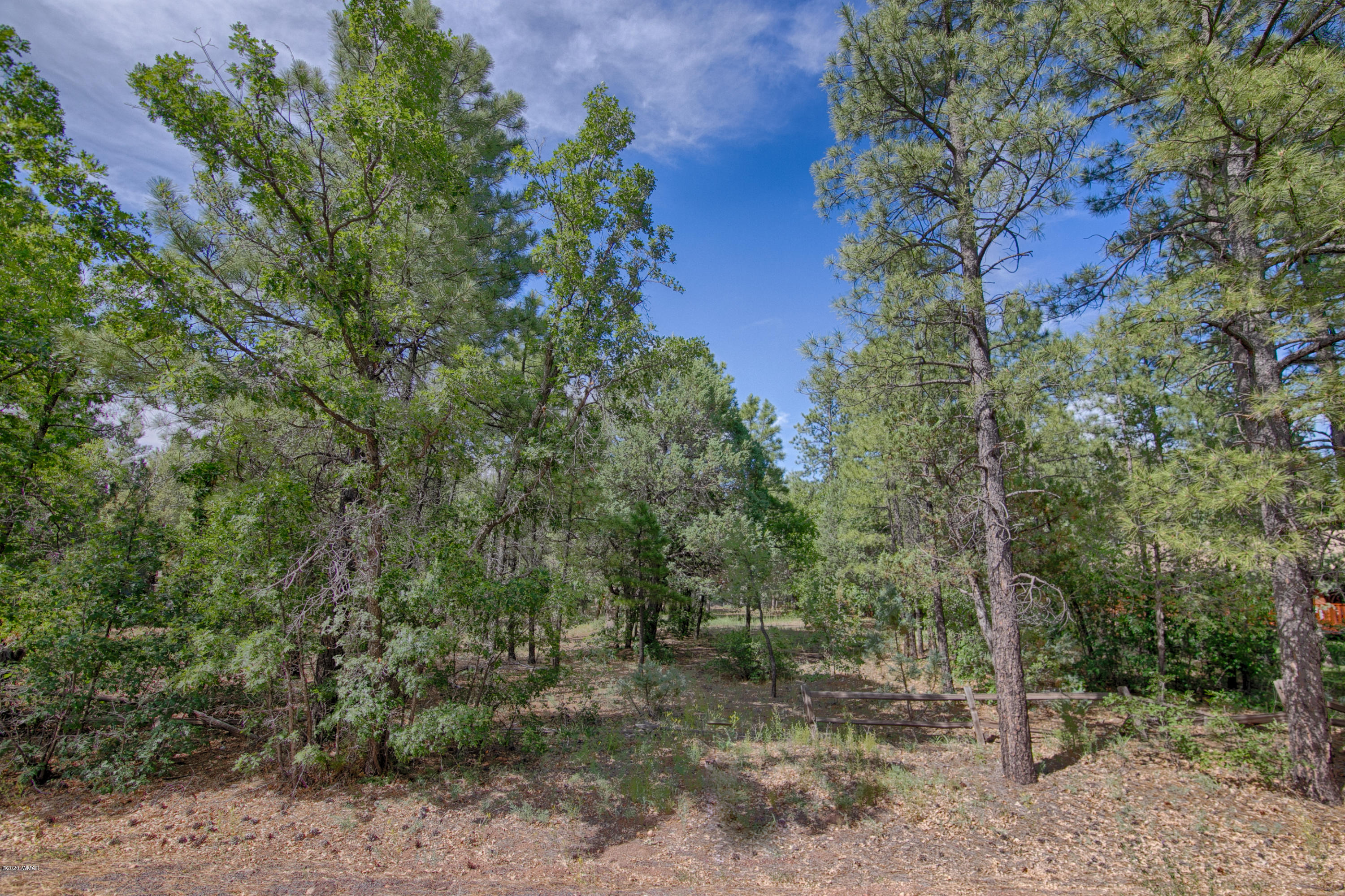 2936 West Rim Road Lakeside, AZ 85929 - Photo 6 of 6