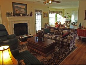 201 Free Hill Road Gray, TN 37615 - Photo 3 of 12 Great Room Style Den