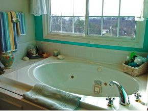 201 Free Hill Road Gray, TN 37615 - Photo 8 of 12 Maybe a Book and a Bath