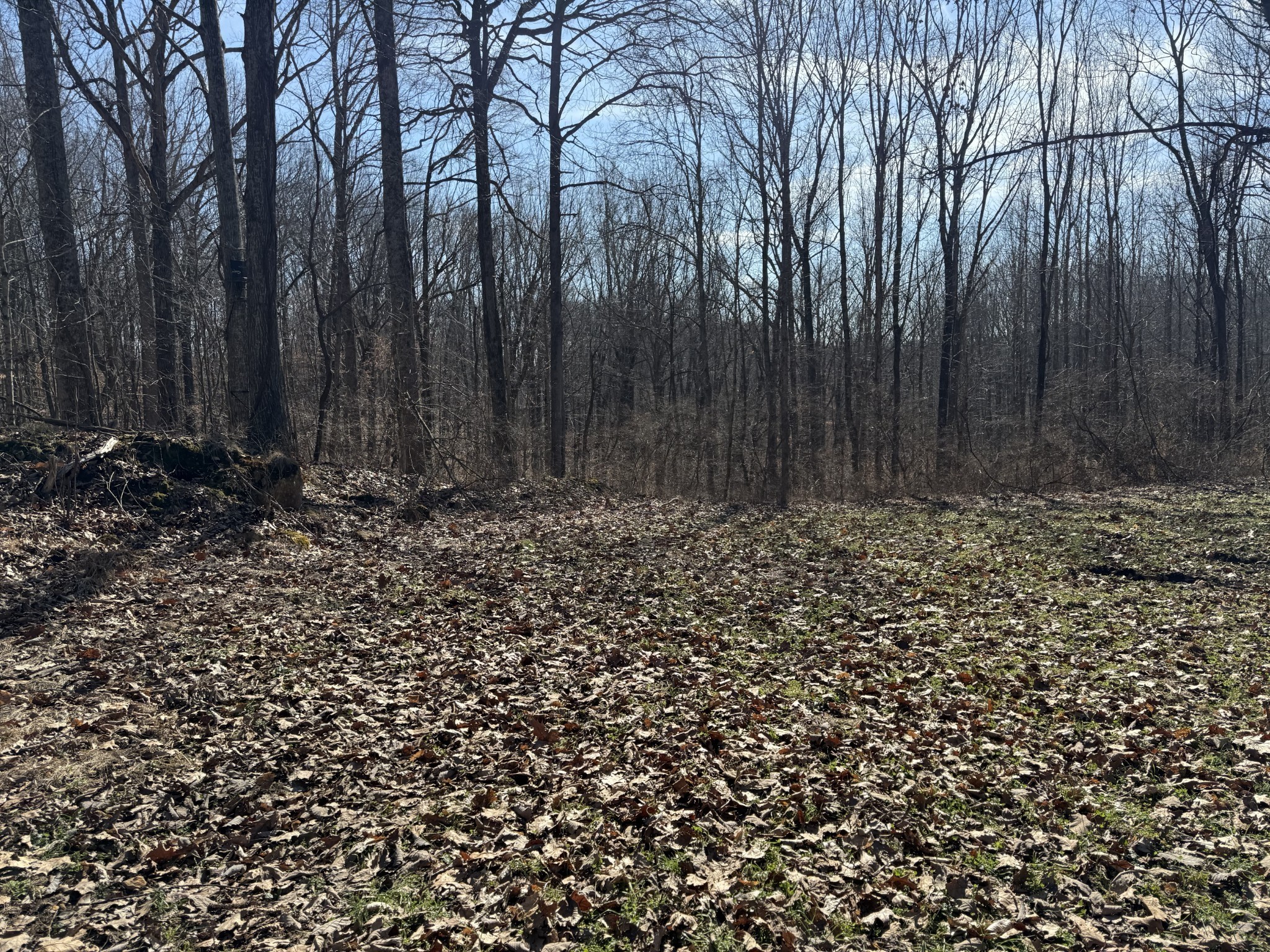 0 Hester Beasley Road Nashville, TN 37221 - Photo 25 of 57 a view of wooden fence