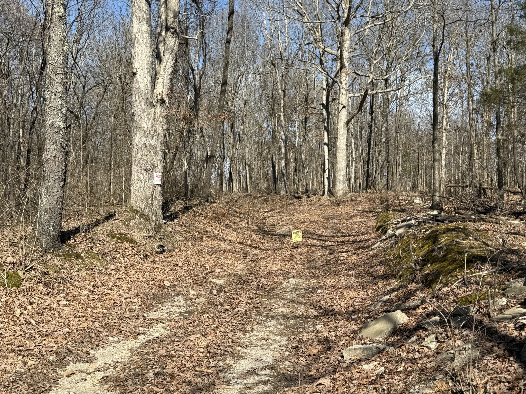 0 Hester Beasley Road Nashville, TN 37221 - Photo 30 of 57 a view of dirt field with trees in the background