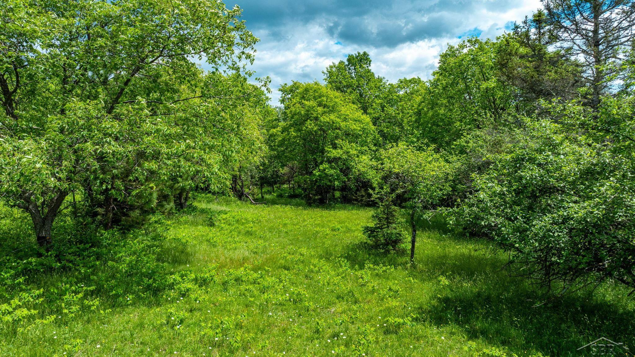 25615 Leo S Road Watton, MI 49970 - Photo 28 of 72
