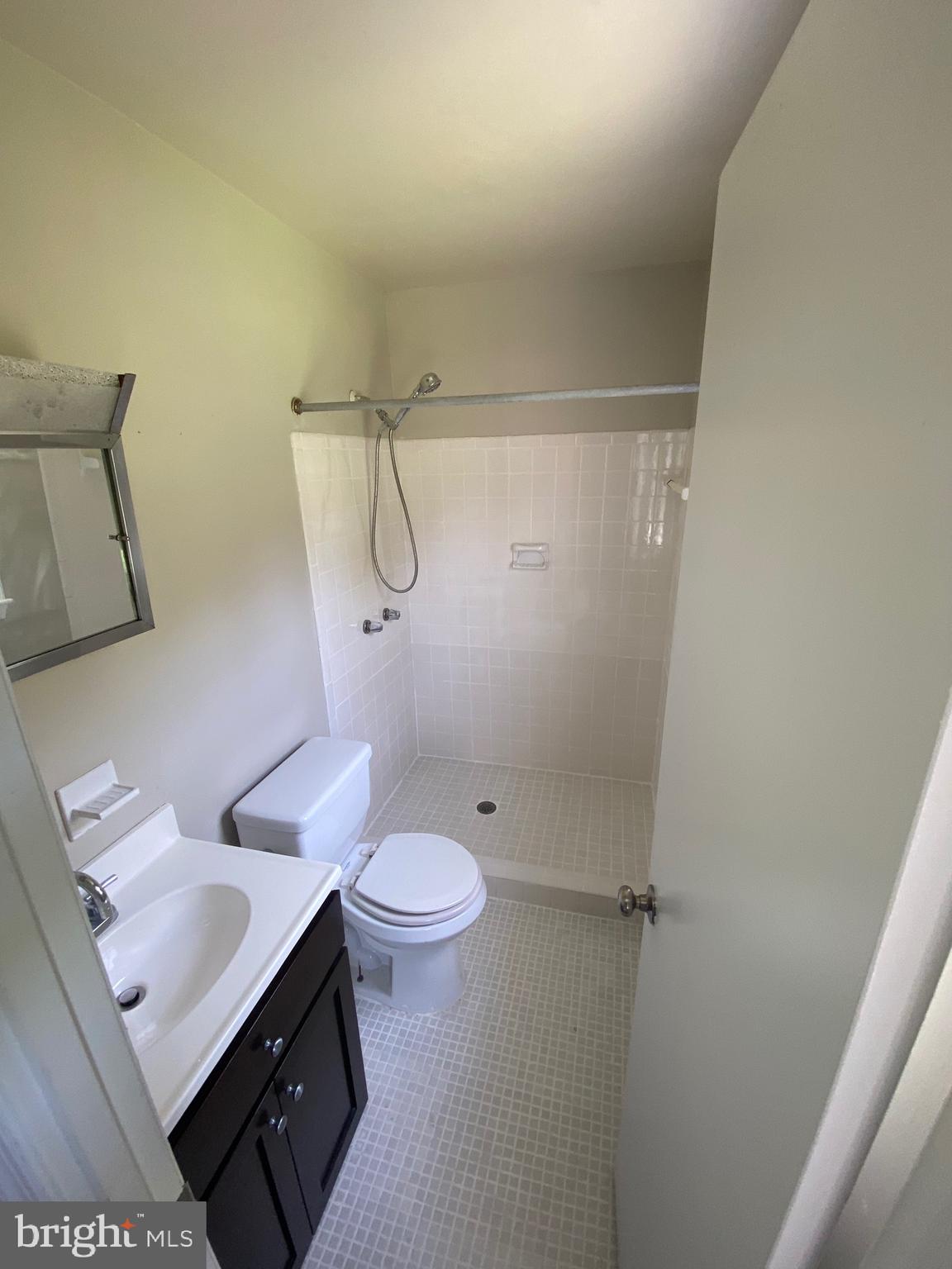 11711 Butlers Branch Road Clinton, MD 20735 - Photo 18 of 23 a bathroom with a sink a toilet and shower
