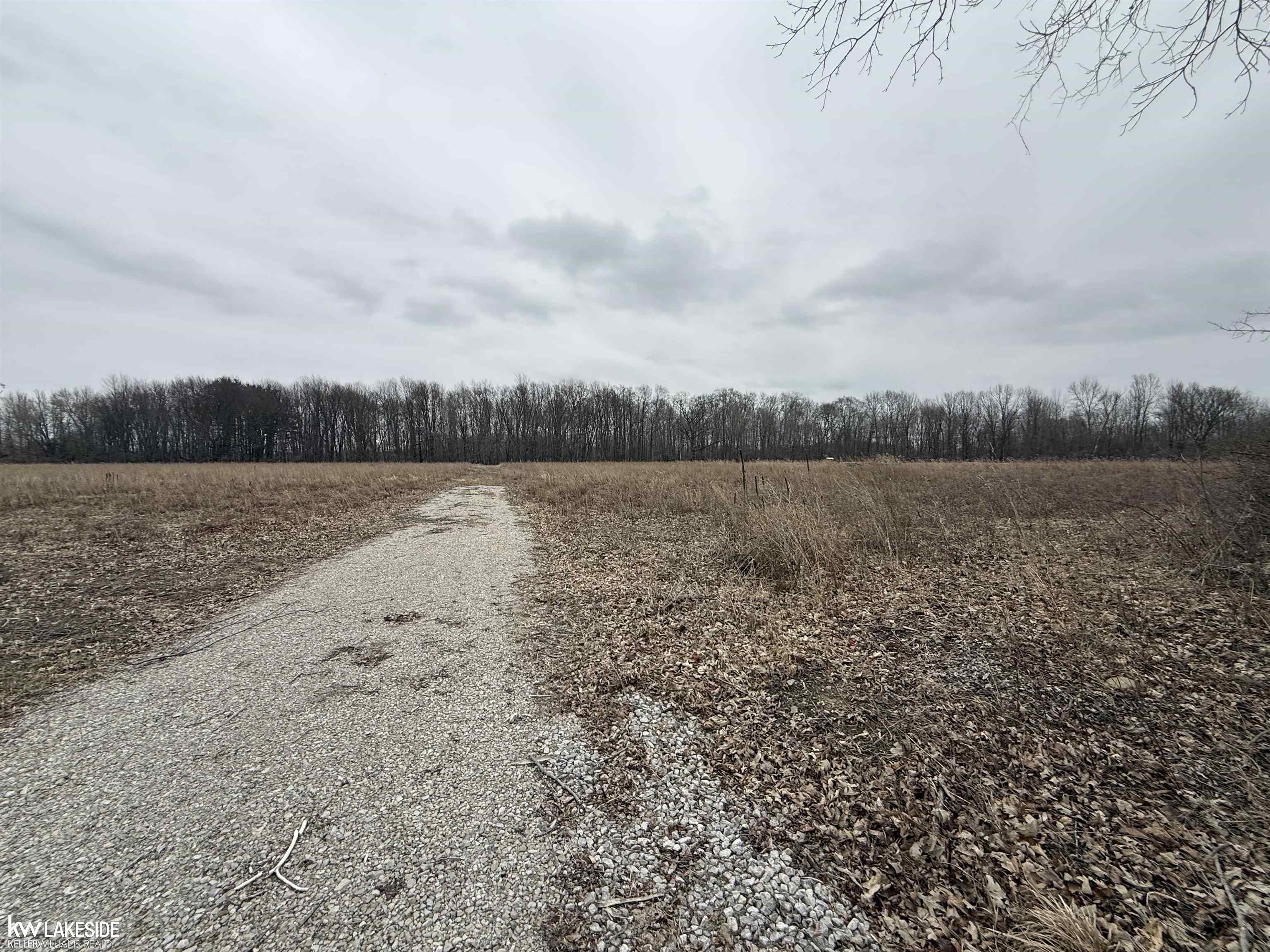 0 Cove Road Goodells, MI 48027 - Photo 7 of 25