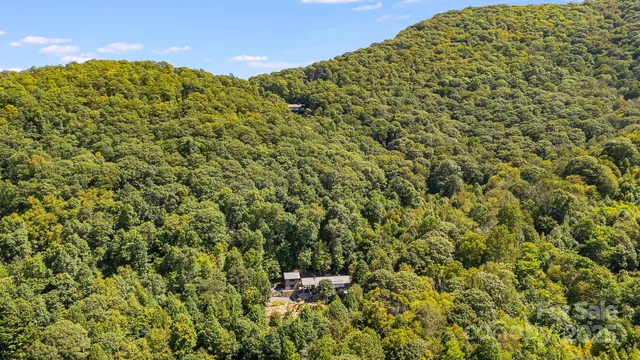 a view of a lush green hillside and a mountain view