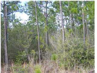 0 Bluefish Road Navarre, FL 32566 - Photo 1 of 1 Gallery Image 1