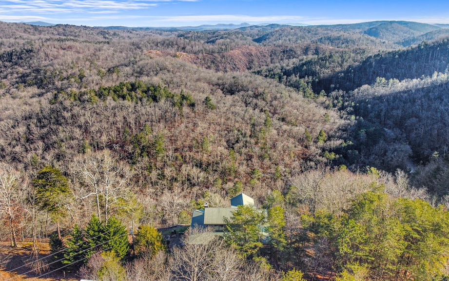 573 Galaxy Way Ranger, GA 30734 - Photo 2 of 4 Additional View