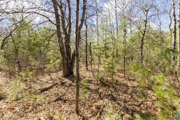 $120,000 | 115-xx South 115-xx S County Road, Solon Springs, WI 54873