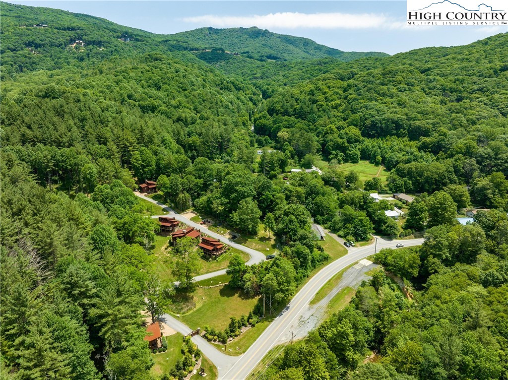 Lot 1 Stonefly Trail Banner Elk, NC 28604 - Photo 11 of 13 a view of a lush green forest with lots of trees