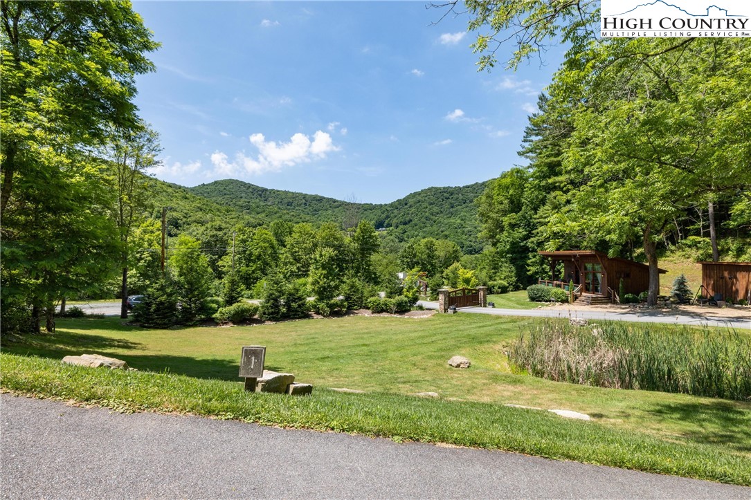 Lot 1 Stonefly Trail Banner Elk, NC 28604 - Photo 2 of 13 a view of a big yard with potted plants and large trees