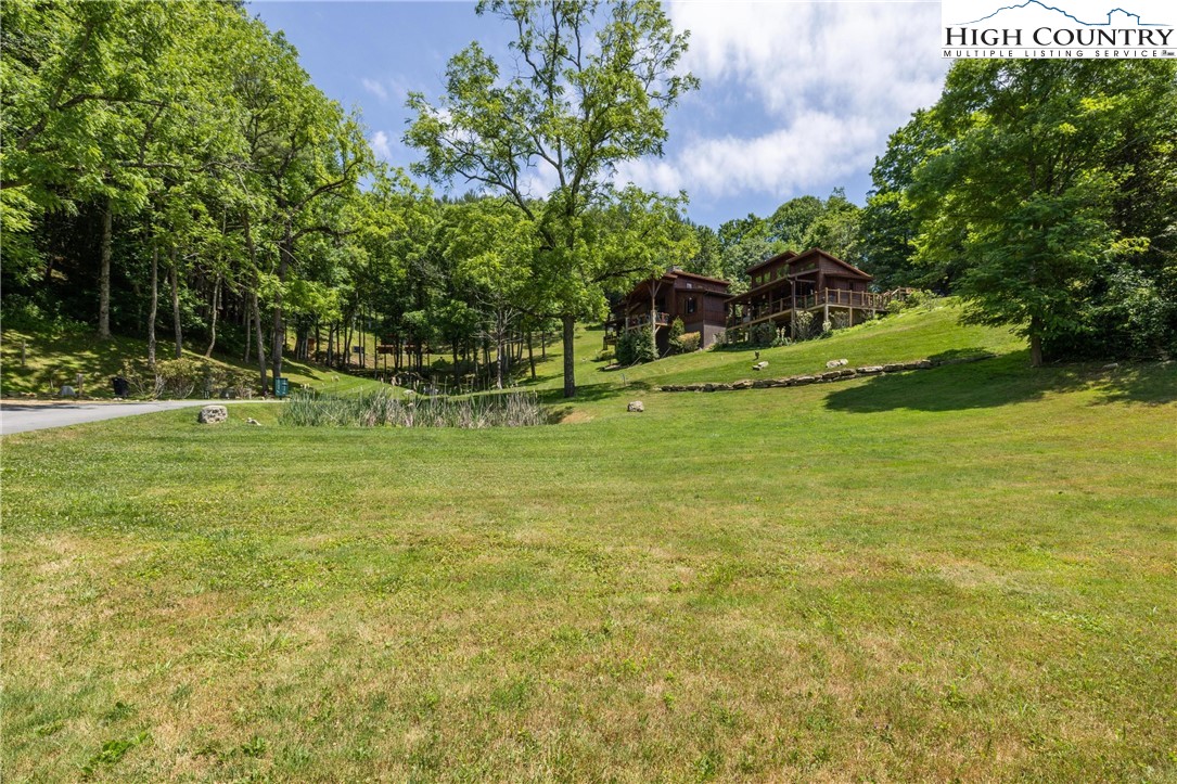 Lot 1 Stonefly Trail Banner Elk, NC 28604 - Photo 6 of 13 a view of a tree in a yard