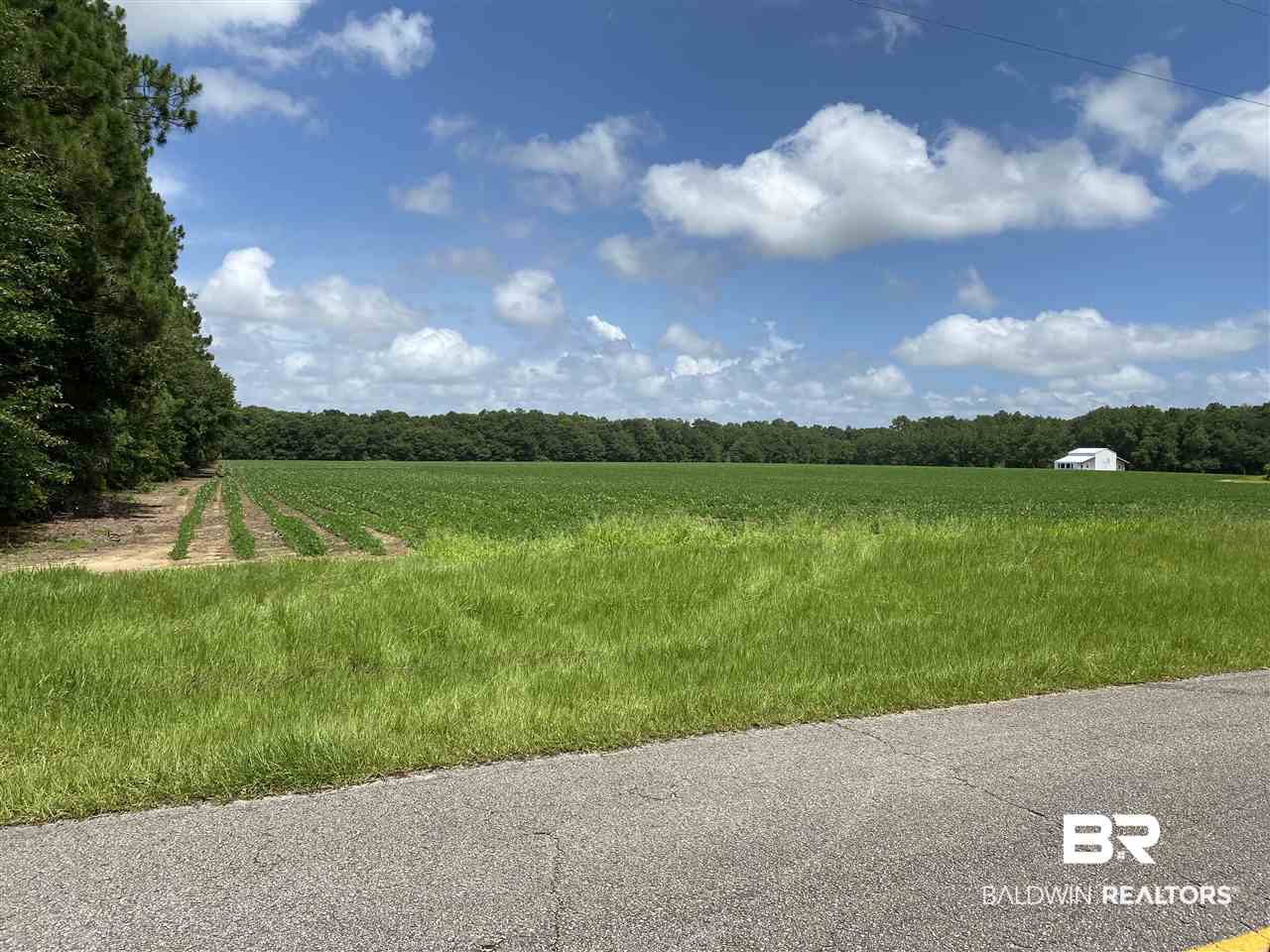 19380 Rada Road Silverhill, AL 36576 - Photo 6 of 6