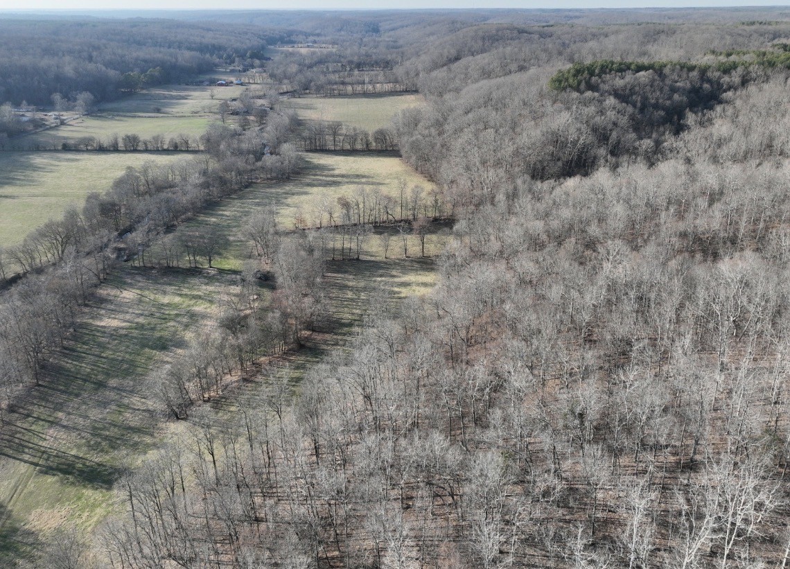 0 Upper Standing Rock Road Dover, TN 37058 - Photo 17 of 32 Gallery Image 17