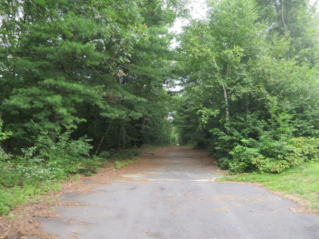 0 Wilbraham Road Monson, MA 01057 - Photo 1 of 3 a view of a plants with trees in the background
