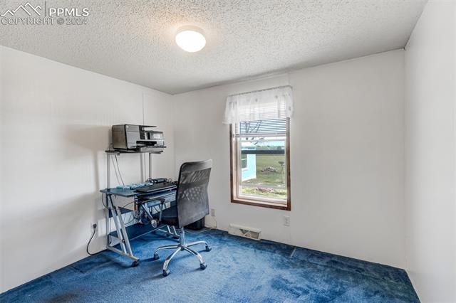 5845 Peerless Farms Road Peyton, CO 80831 - Photo 29 of 50 Carpeted office featuring a textured ceiling