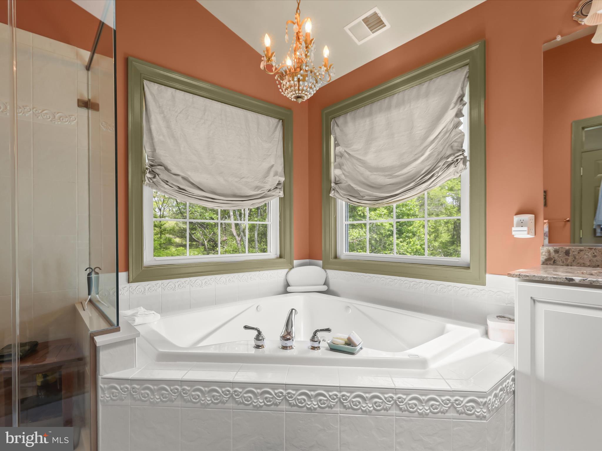 2905 Duvall Road Woodbine, MD 21797 - Photo 41 of 90 Primary En-Suite Full Bath
