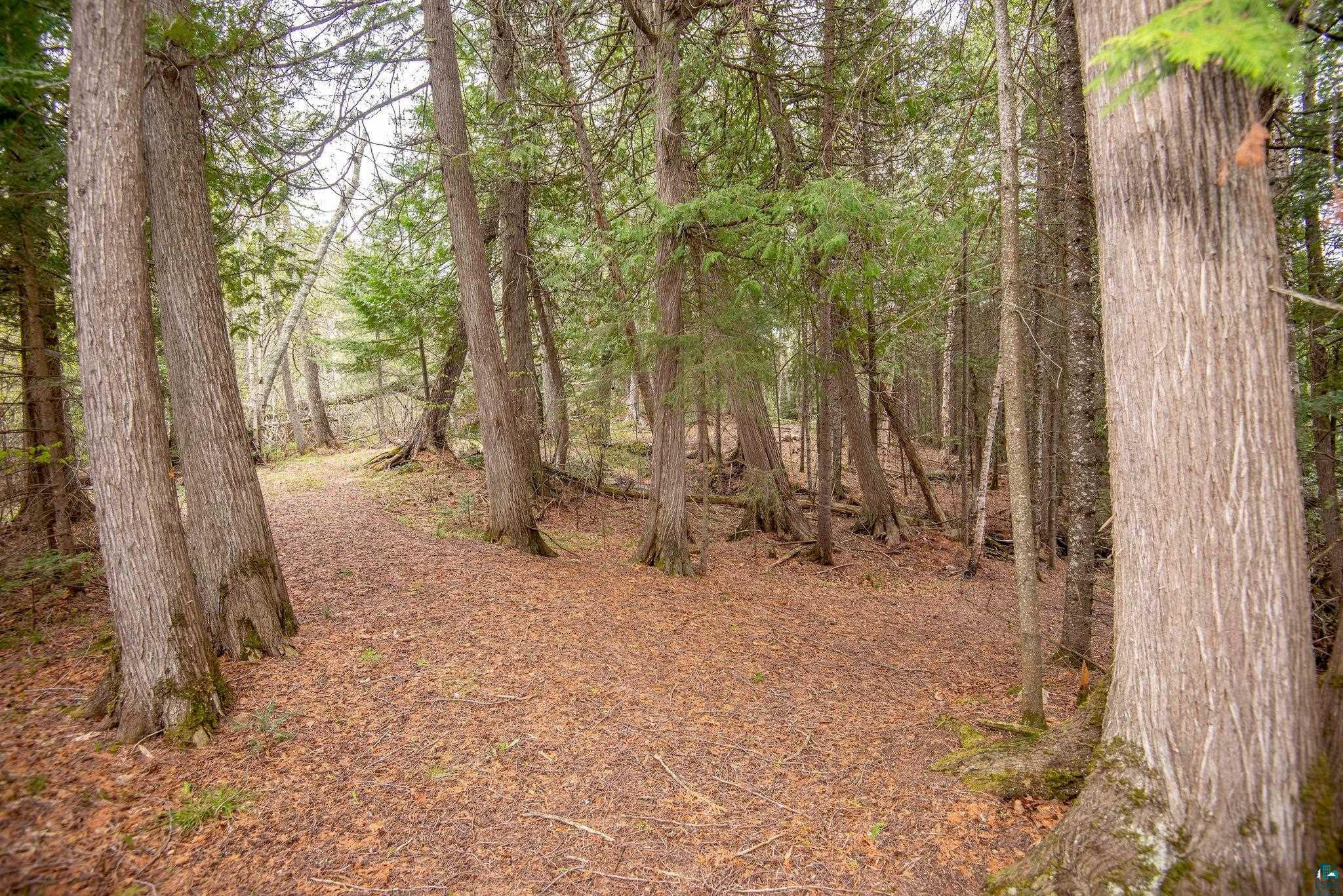 190 North Loon Lake Road Grand Marais, MN 55604 - Photo 43 of 65