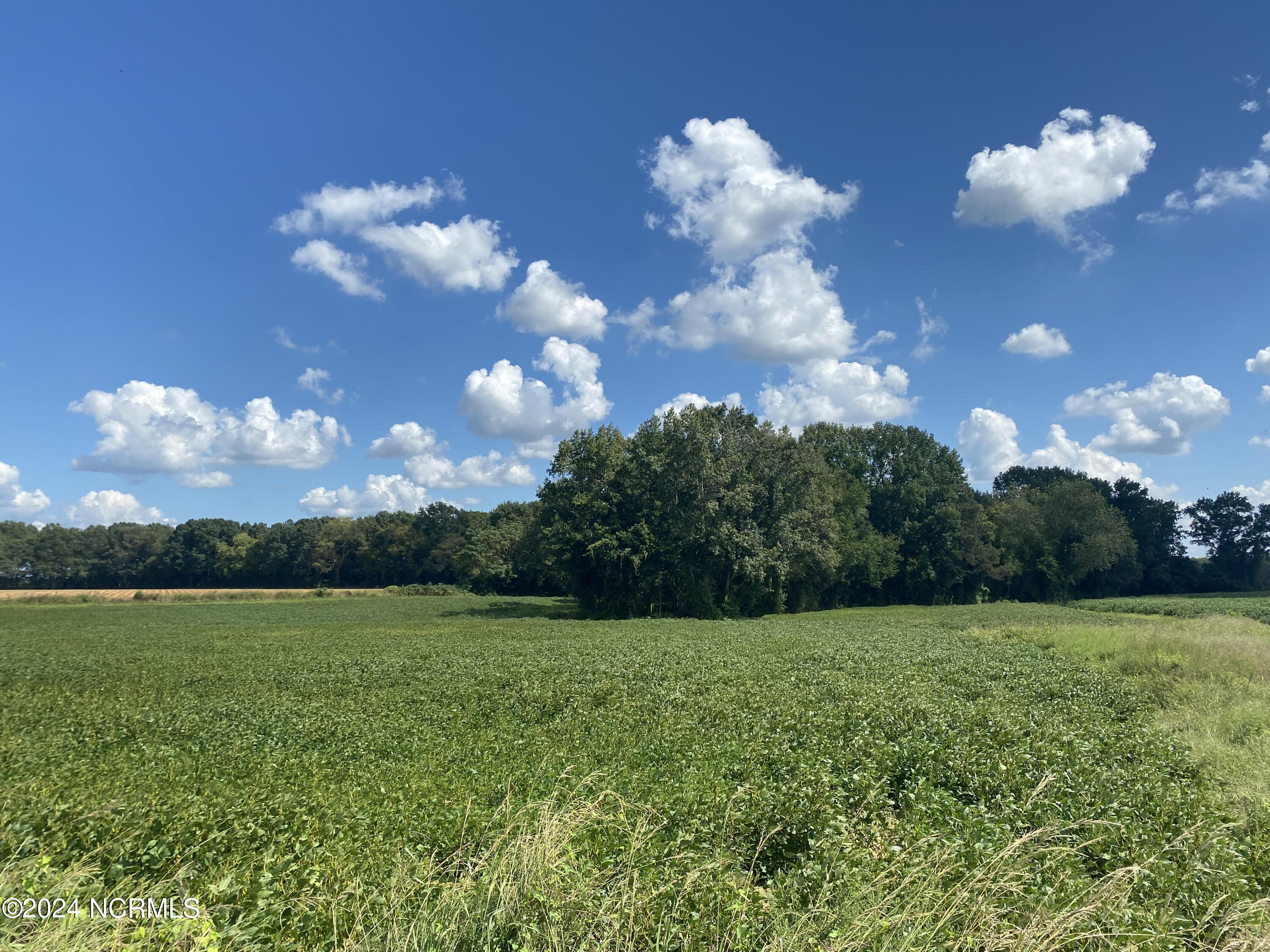 724 Old Mill Road Stantonsburg, NC 27883 - Photo 10 of 17 2
