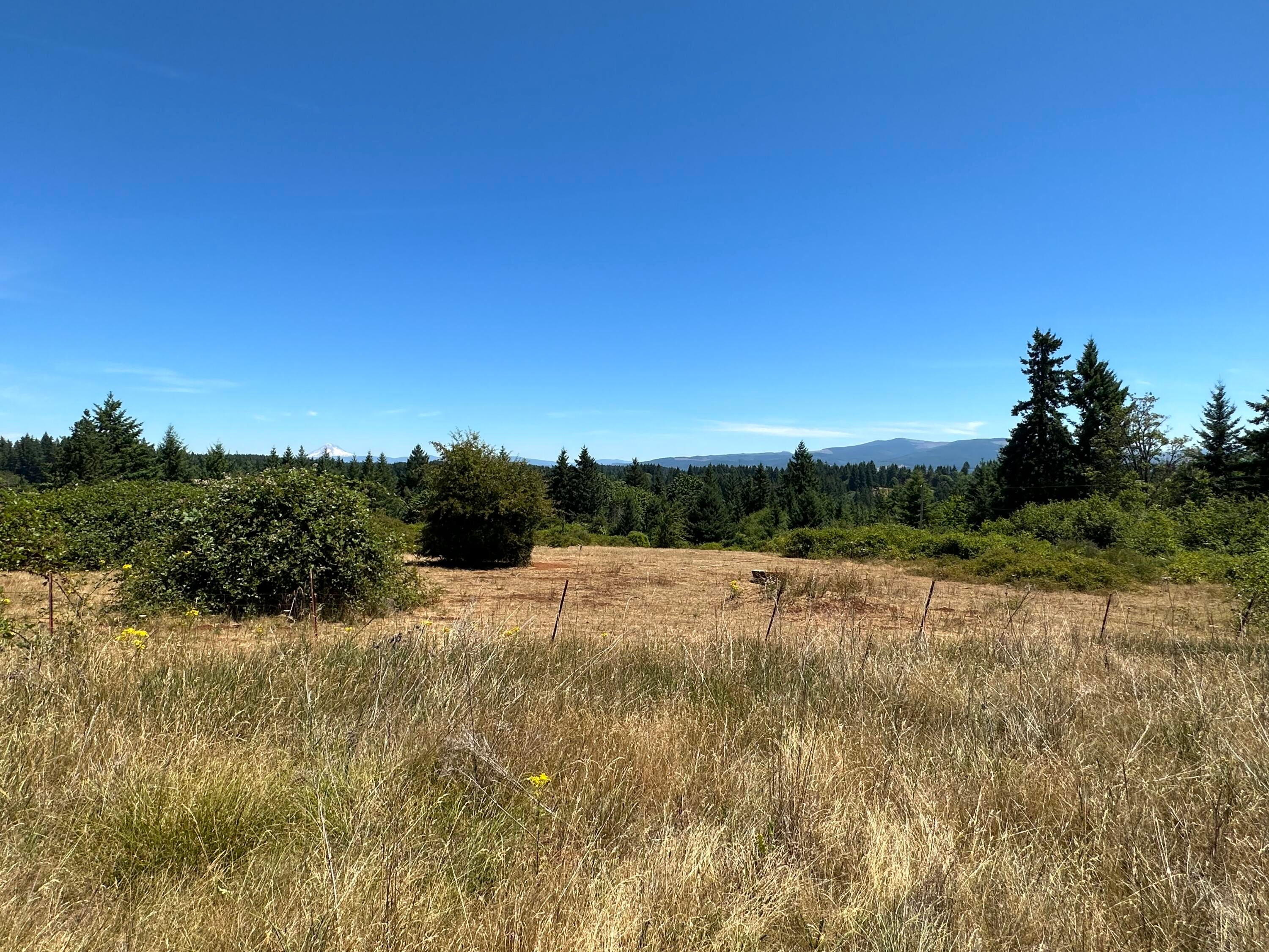 28003 South Gard Road Mulino, OR 97042 - Photo 21 of 43 k44