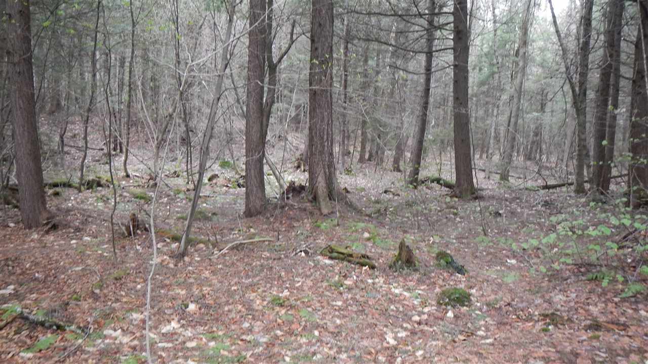444 Shippee Road Whitingham, VT 05361 - Photo 8 of 15
