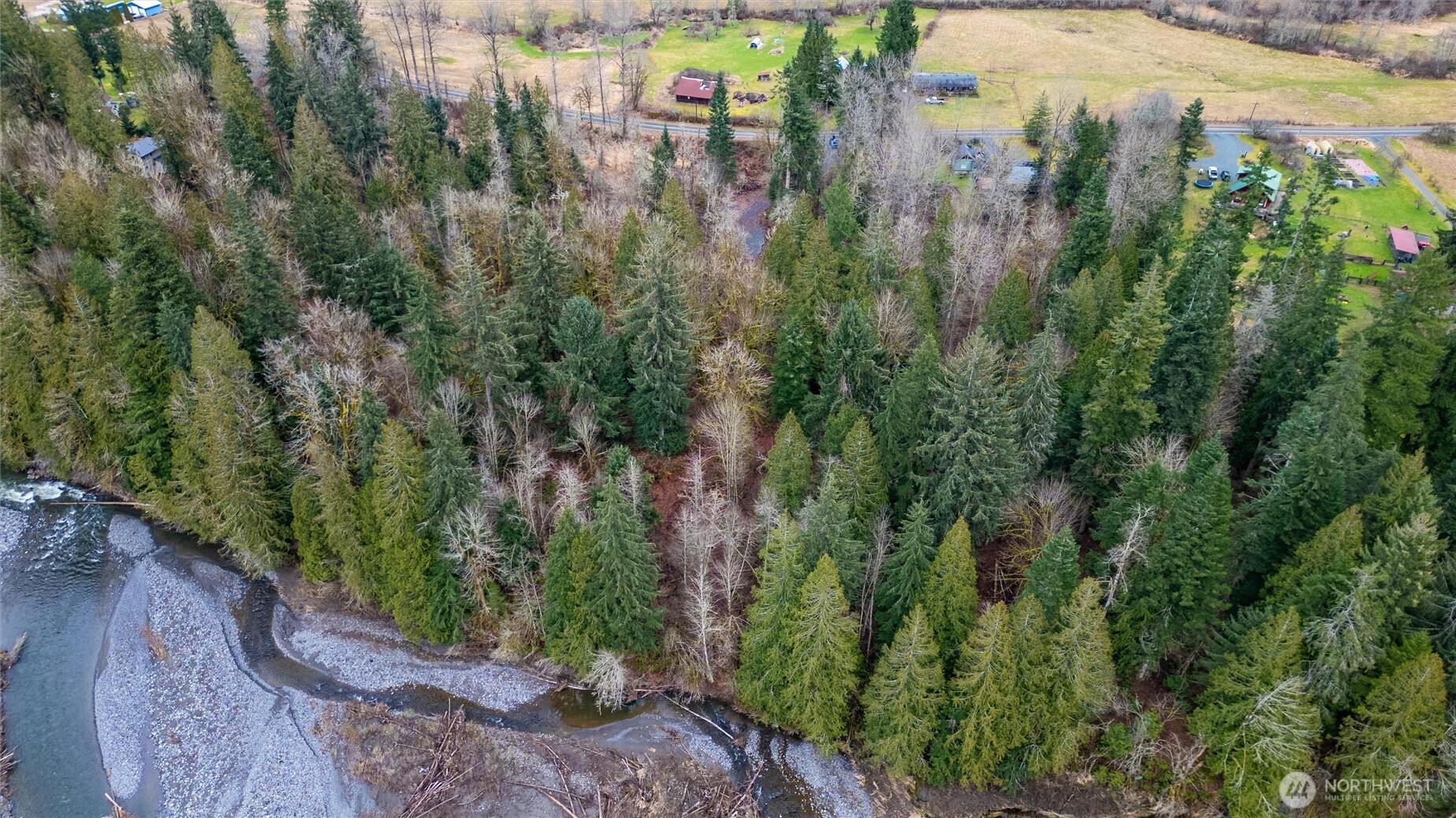 0 Mosquito Lake Road Deming, WA 98244 - Photo 12 of 22 a view of a garden with plants