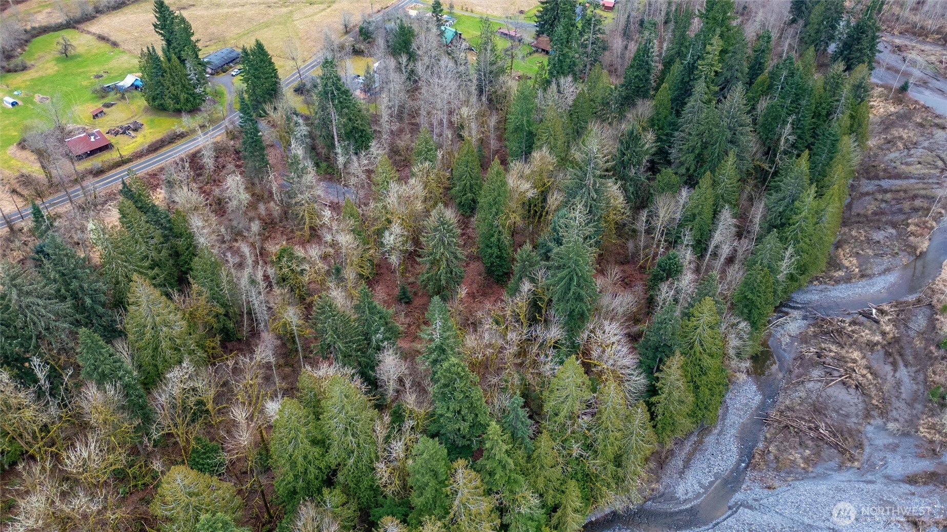 0 Mosquito Lake Road Deming, WA 98244 - Photo 15 of 22 a view of a yard with plants