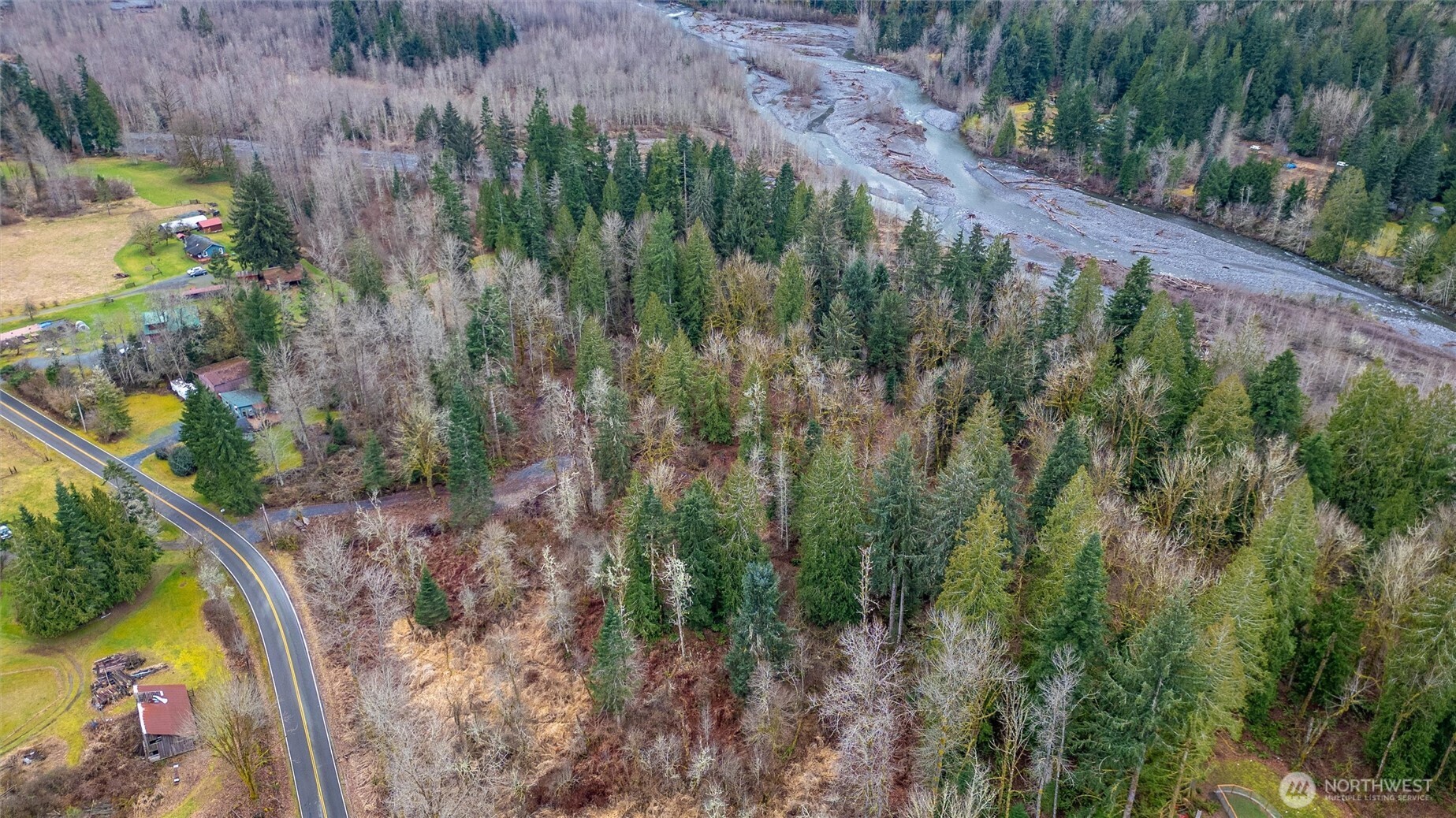 0 Mosquito Lake Road Deming, WA 98244 - Photo 16 of 22 a view of a yard with plants