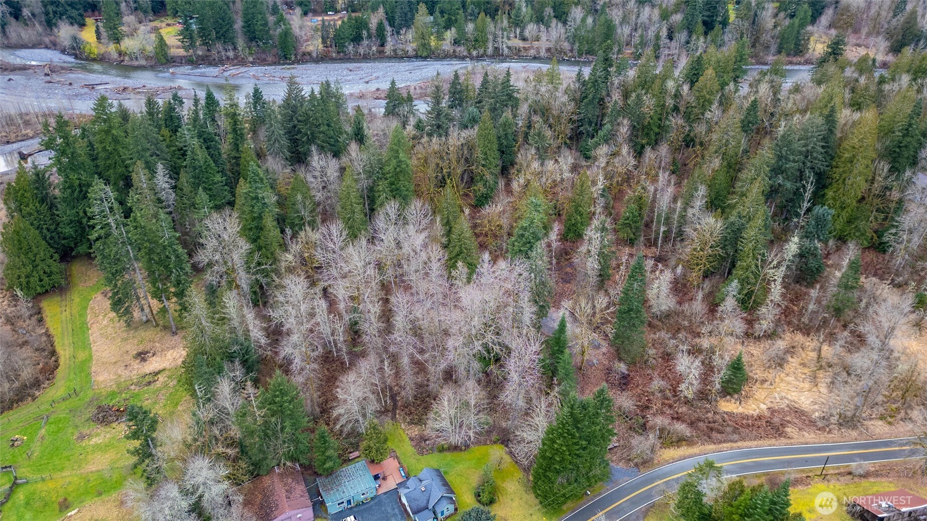 0 Mosquito Lake Road Deming, WA 98244 - Photo 18 of 22 a view of a yard with large trees