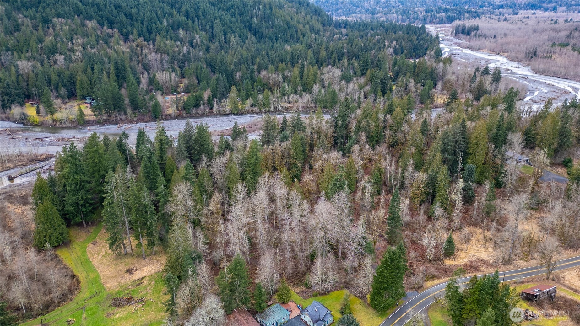 0 Mosquito Lake Road Deming, WA 98244 - Photo 20 of 22 a view of a yard with large trees