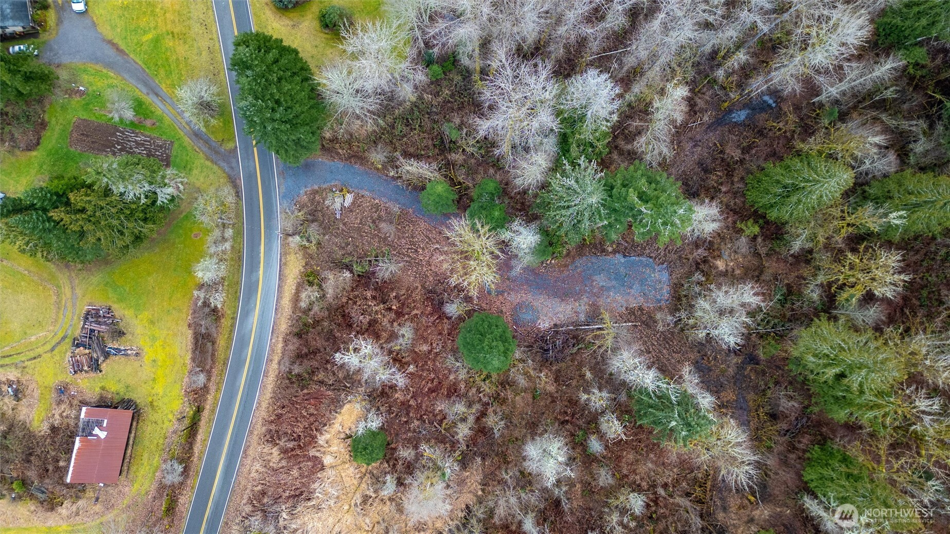 0 Mosquito Lake Road Deming, WA 98244 - Photo 21 of 22 a view of a yard with plants and large trees