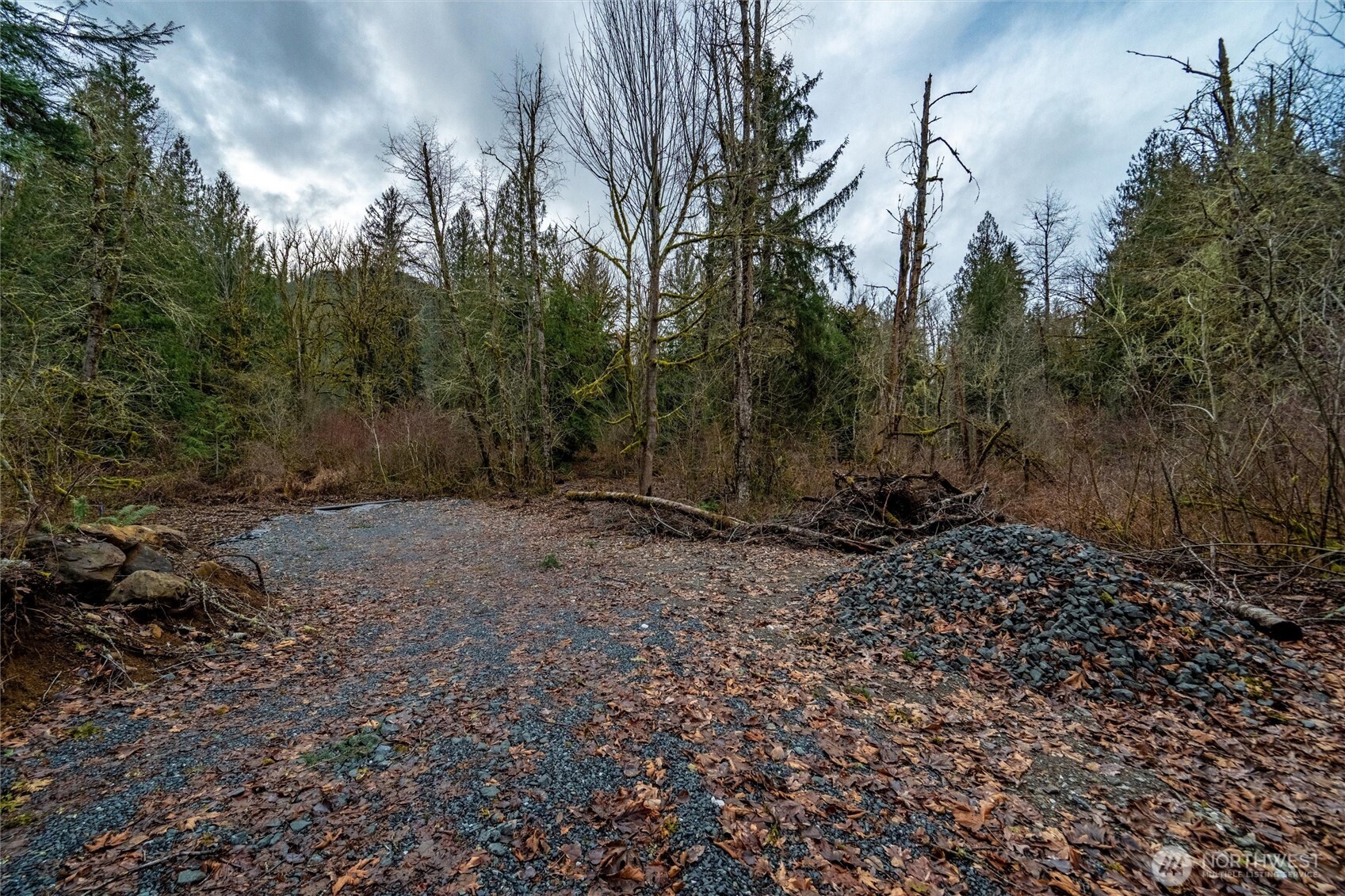 0 Mosquito Lake Road Deming, WA 98244 - Photo 7 of 22 a view of a yard with plants and trees