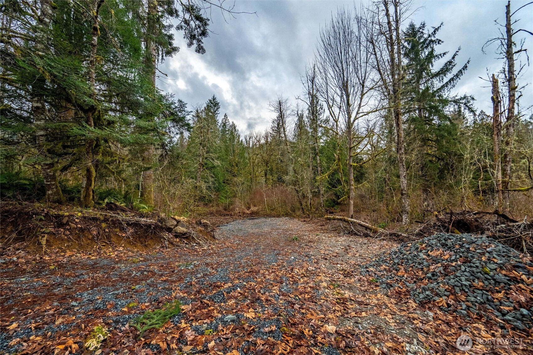 0 Mosquito Lake Road Deming, WA 98244 - Photo 9 of 22 a backyard of a house with lots of green space