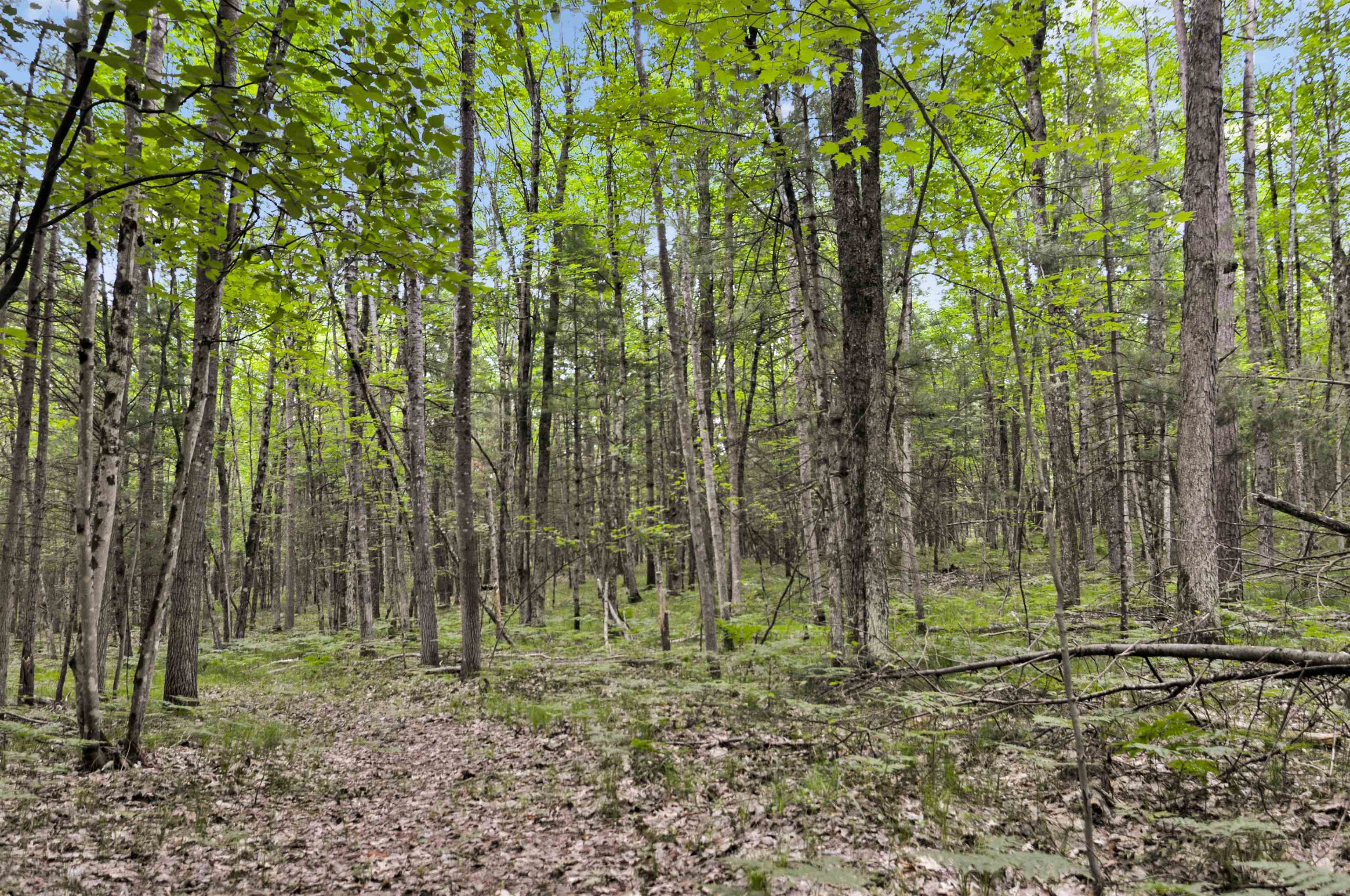10694 North Mac Road Irons, MI 49644 - Photo 73 of 86