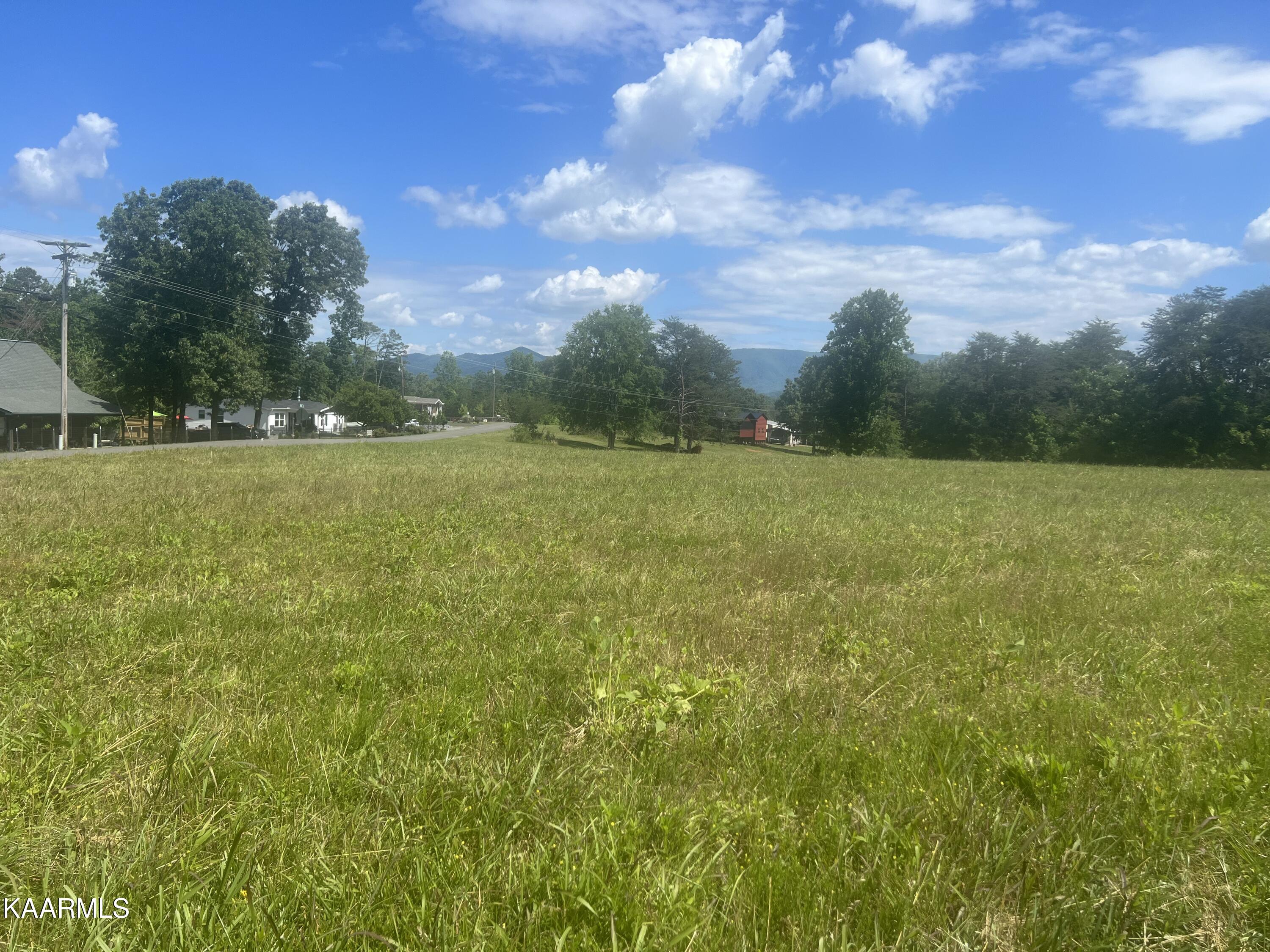 Covington Road Dandridge, TN 37725 - Photo 11 of 13 Cleared Acreage