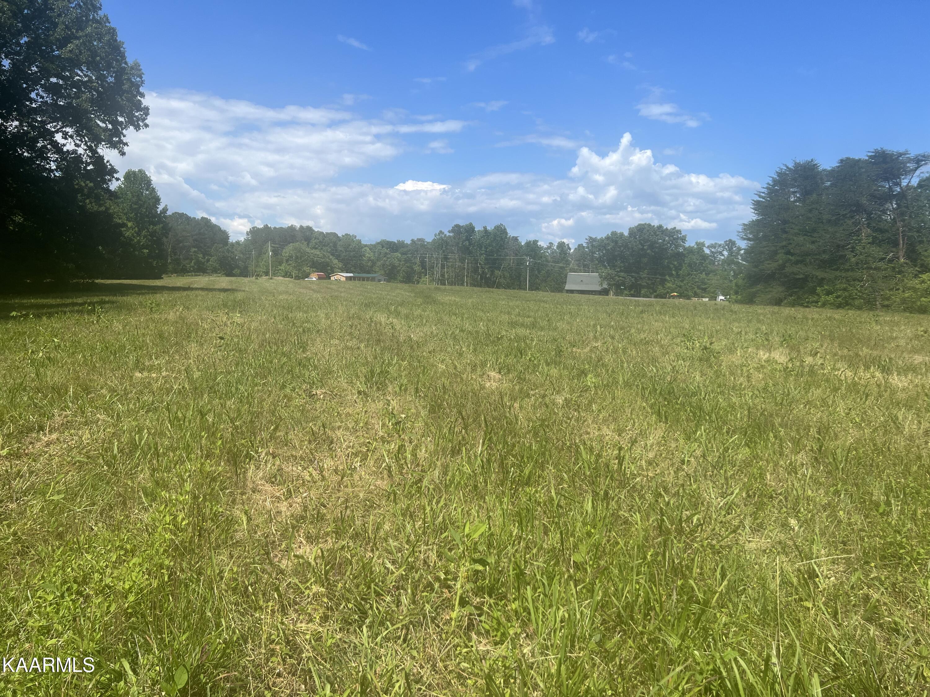 Covington Road Dandridge, TN 37725 - Photo 13 of 13 Cleared Acreage