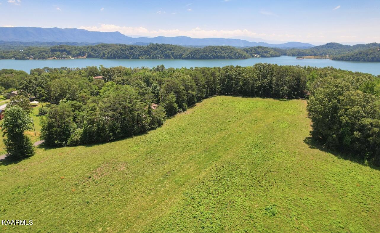 Covington Road Dandridge, TN 37725 - Photo 7 of 13 Drone Photo