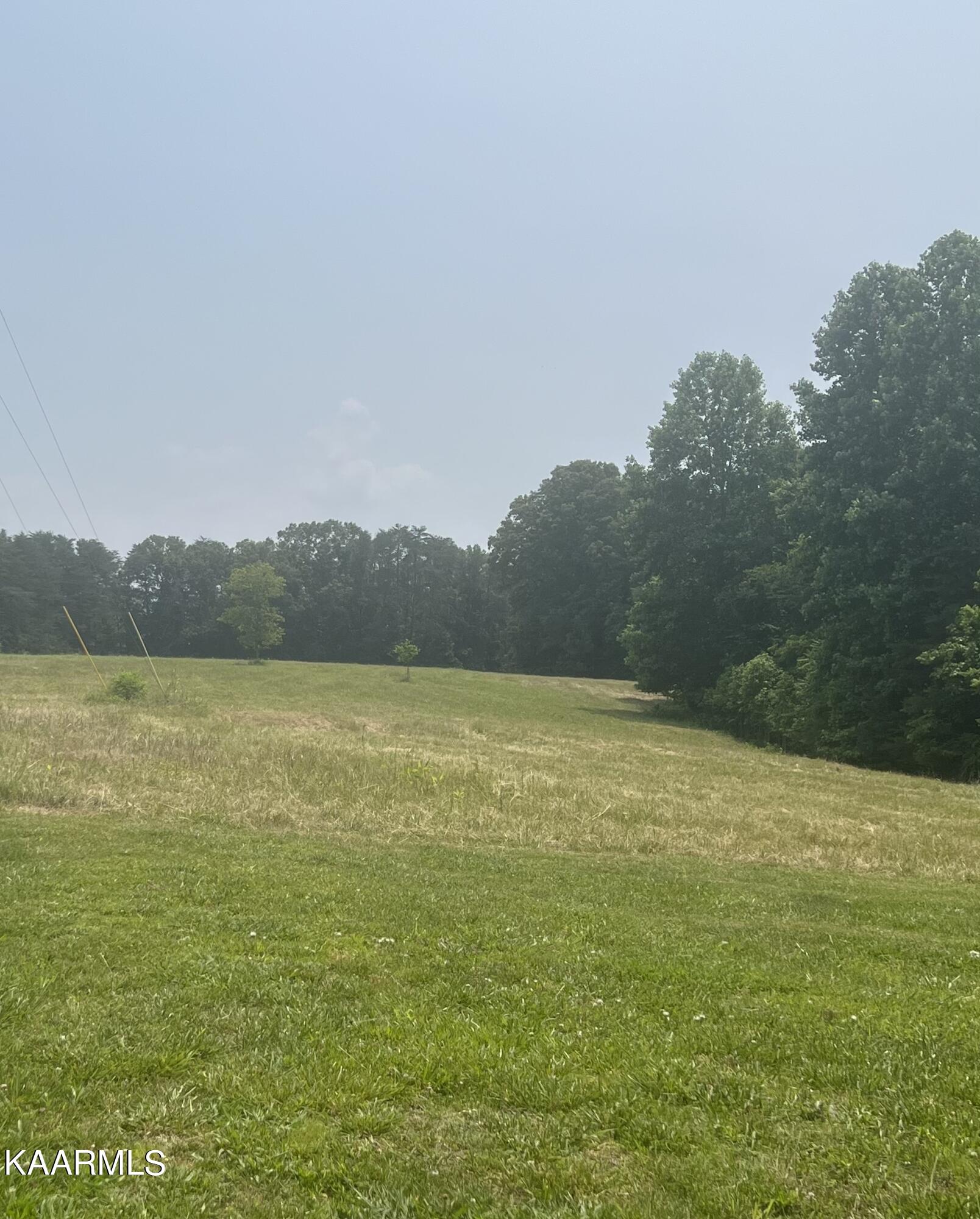 Covington Road Dandridge, TN 37725 - Photo 9 of 13 Cleared Acreage