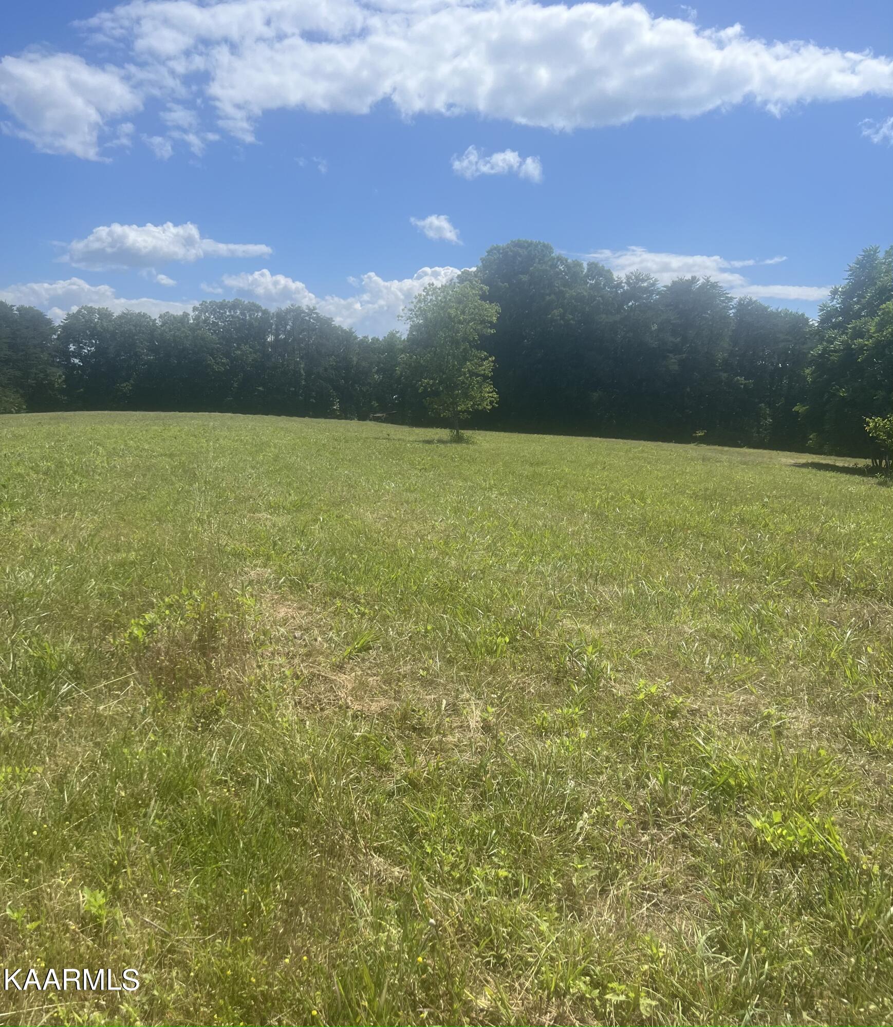 Covington Road Dandridge, TN 37725 - Photo 10 of 13 Cleared Acreage