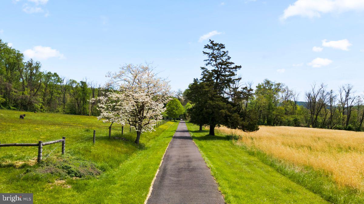 Driveway entrance from Old Windy Bush Rd.