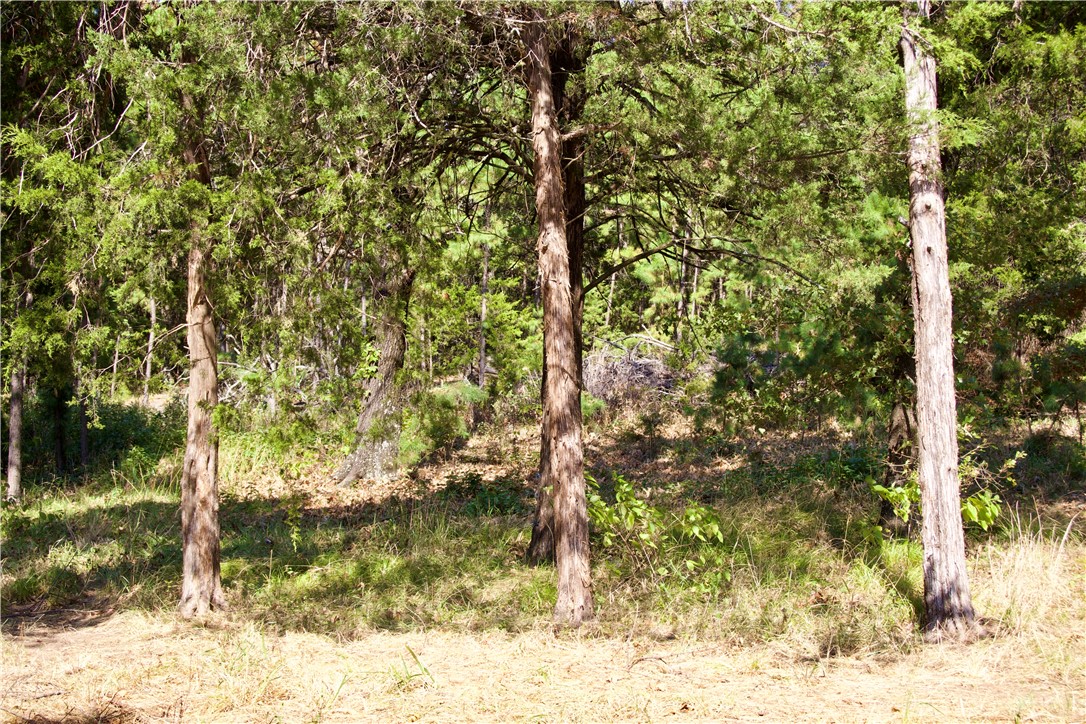 12008 Ozark Road Chester, AR 72934 - Photo 22 of 47 Gallery Image 22