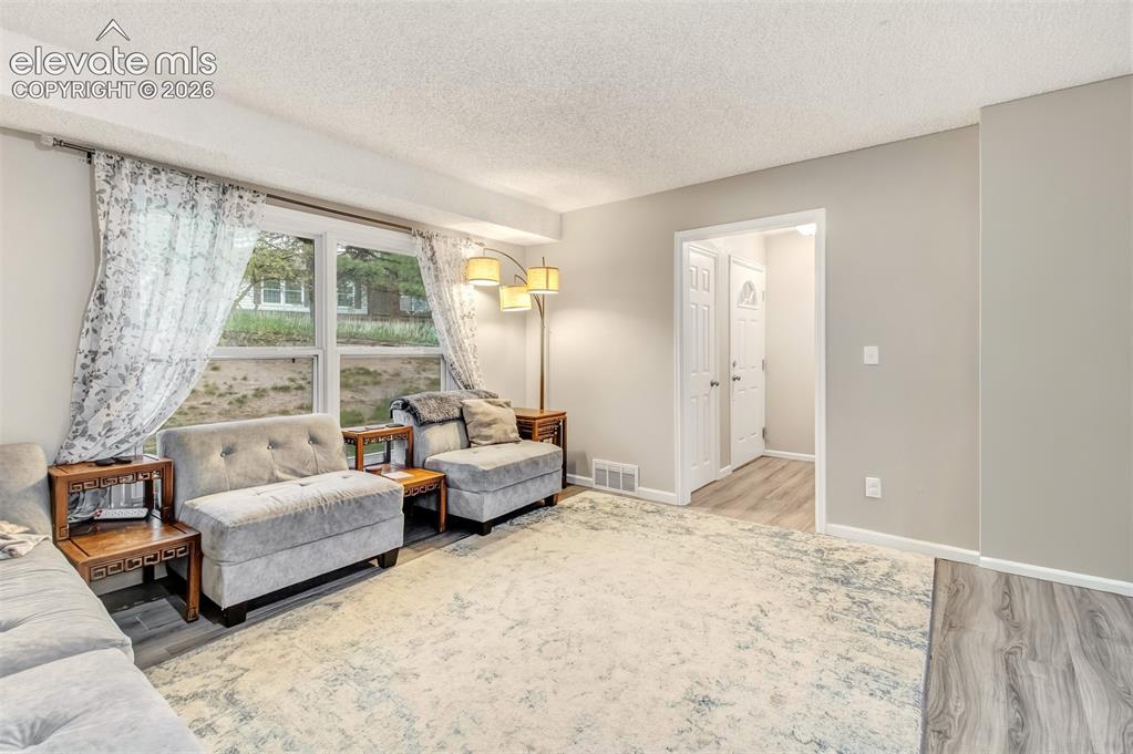 367 Raspberry Lane Monument, CO 80132 - Photo 4 of 25