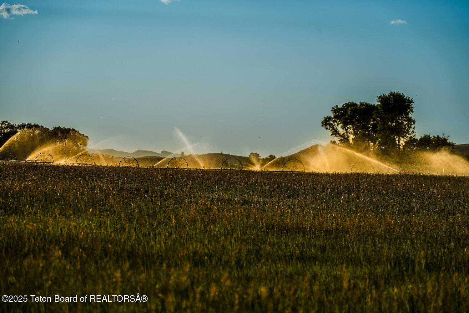 Rock Creek Ranch Buffalo, WY 82834 - Photo 32 of 35 032_dsc_0954_827