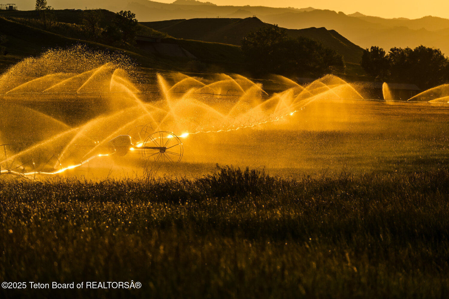 Rock Creek Ranch Buffalo, WY 82834 - Photo 35 of 35 035_dsc_0968_792