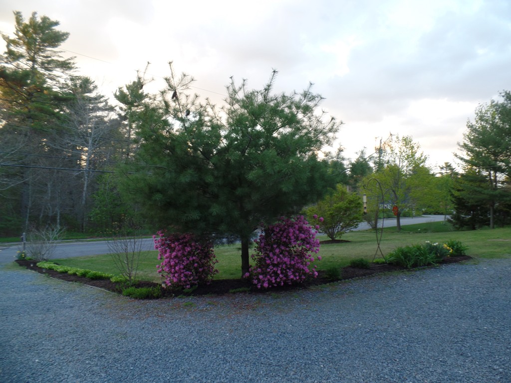 72 Alpine Run Road Kingston, MA 02364 - Photo 23 of 25 Gallery Image 23