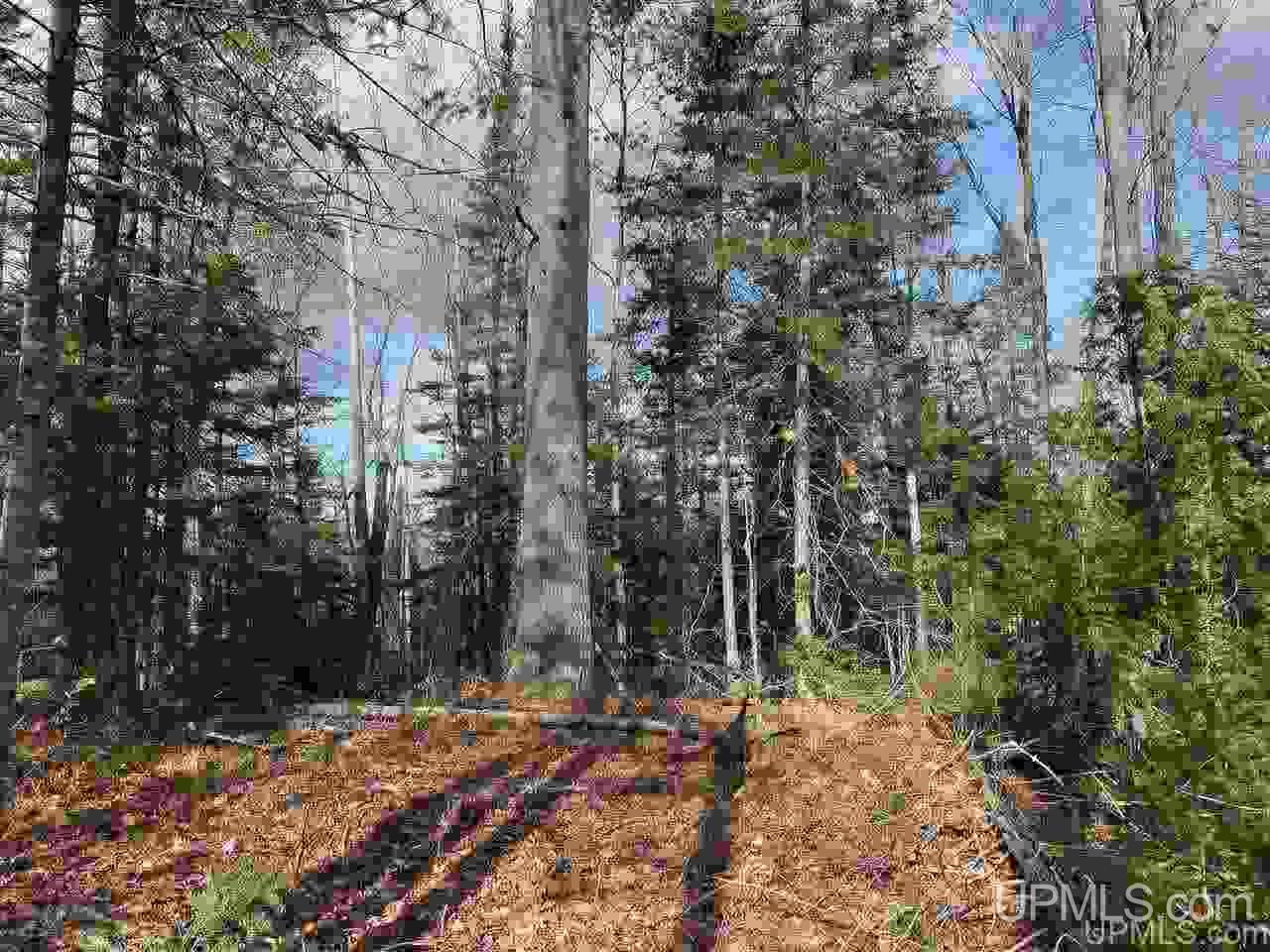 Tbd Lake Enchantment Road, Unit PARCEL 1 Marquette, MI 49855 - Photo 16 of 18